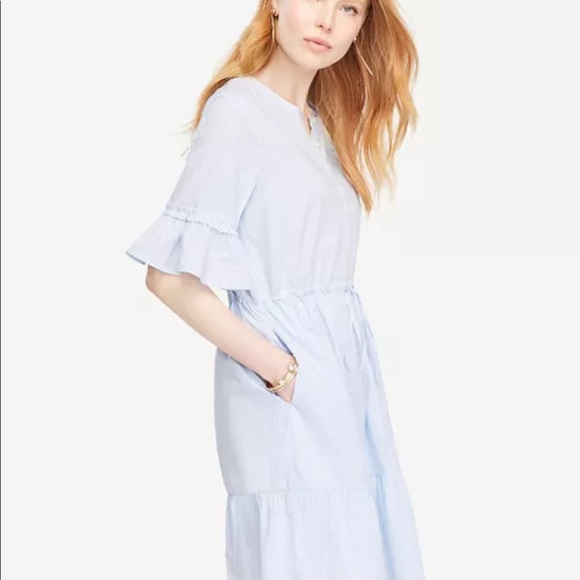 Ann Taylor - Tall Medium (MT) Shirt Dress $139.00 - Picture 4 of 5